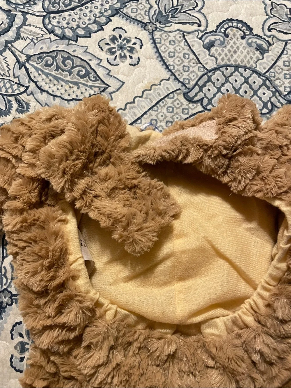Cute dog costume
